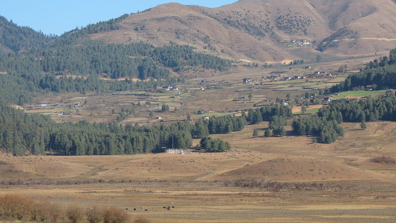Bhutan Honeymoon Tour – Paro, Thimphu, Punakha & Phobjikha (8 Days) — photo 2