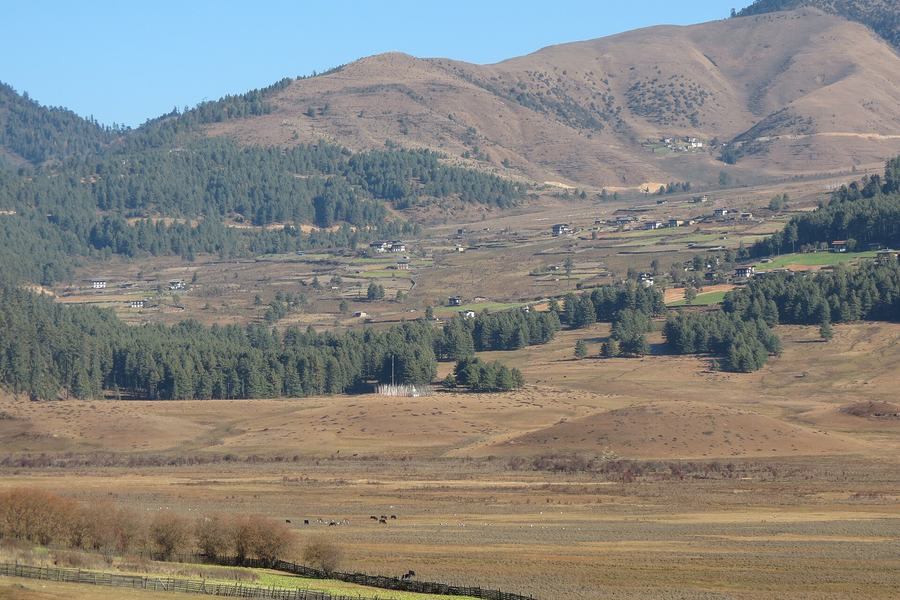 Bhutan Birding & Black-Necked Crane Tour – 9 Days