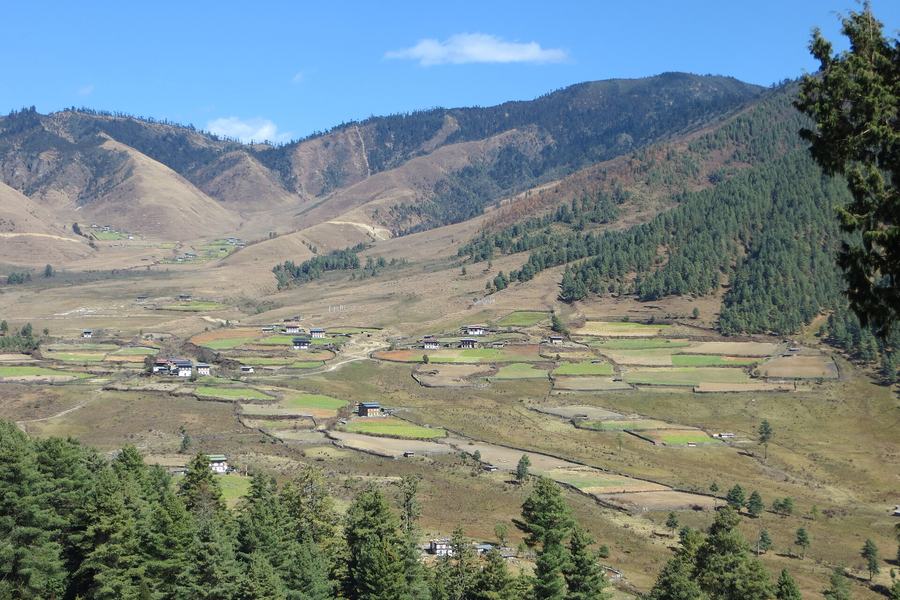 Bhutan Honeymoon Tour – Paro, Thimphu, Punakha & Phobjikha (8 Days)