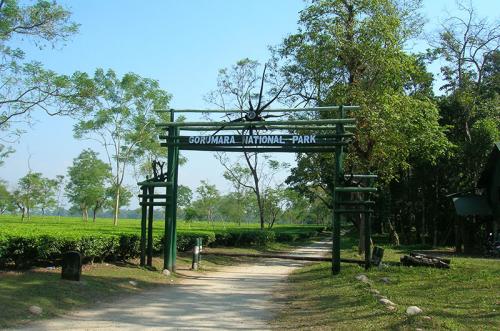 Gorumara Forest