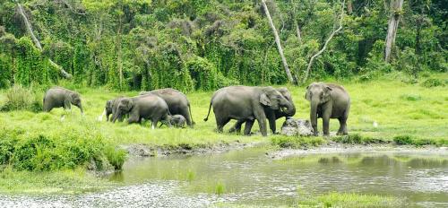 Jhalong
