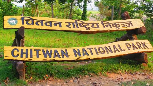 Chitwan Forest