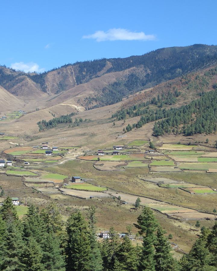 Wangdue Phodrang