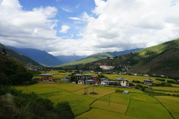 Green forested valley in Bhutan